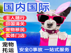 长乐航空货运国际宠物托运 【国